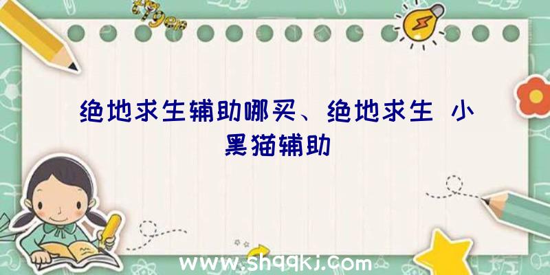 绝地求生辅助哪买、绝地求生